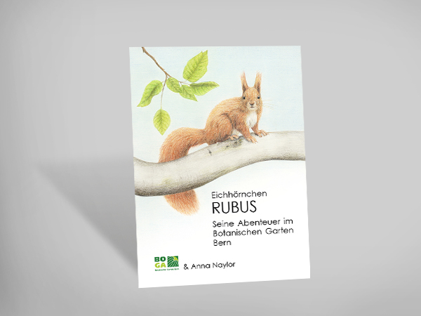 Eichhörnchen Rubus - Seine Abenteuer im Botanischen Garten Bern